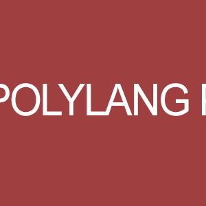 Polylang Pro - Multilingual Plugin